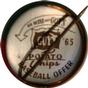 Detroit Tigers back