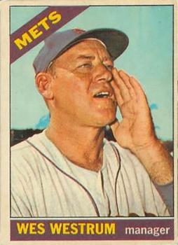 Wes Westrum #341