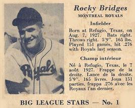 Rocky Bridges #1