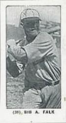 Bibb Falk #39