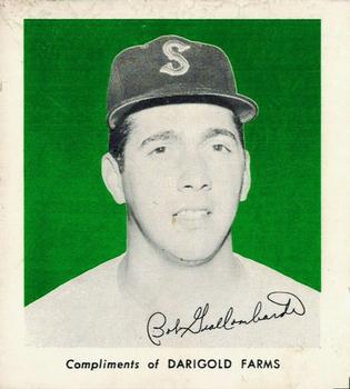 Bob Giallombardo #9