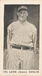 Goose Goslin #49