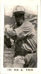 Bibb Falk #39