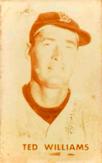 Ted Williams #5
