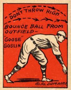 Goose Goslin #27