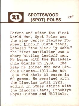 Spot Poles back