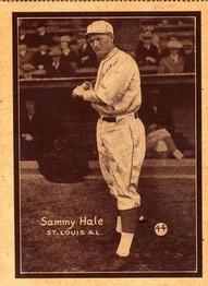 Mini 44 Sammy Hale #W517