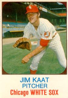 Jim Kaat #110