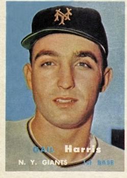 Gail Harris #281