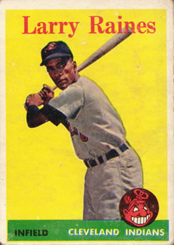 Larry Raines #243