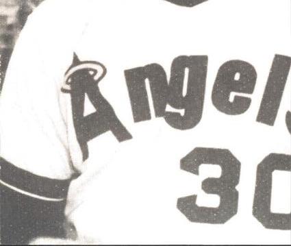 Steve Garvey back