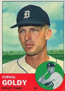 Purnal Goldy #516