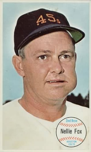 Nellie Fox #13