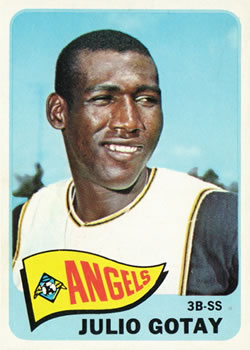 Julio Gotay #552