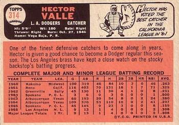 Hector Valle back