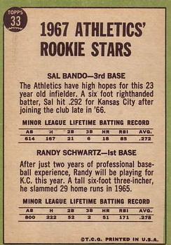 Topps 33 Athletics 1967 Rookie Stars (Sal Bando / Randy Schwartz) back