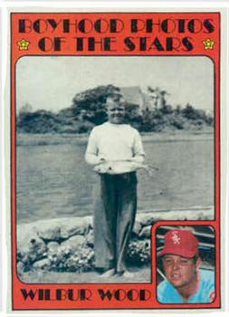 Wilbur Wood #342