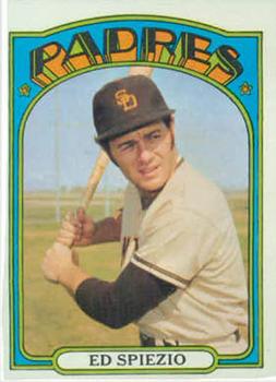 Ed Spiezio #504