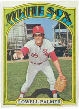 Lowell Palmer #746