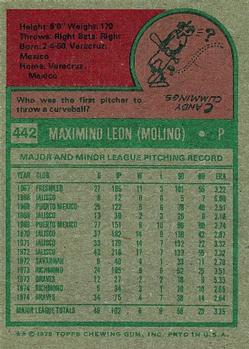 Maximino Leon back
