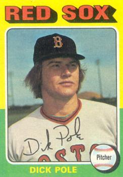 Dick Pole #513