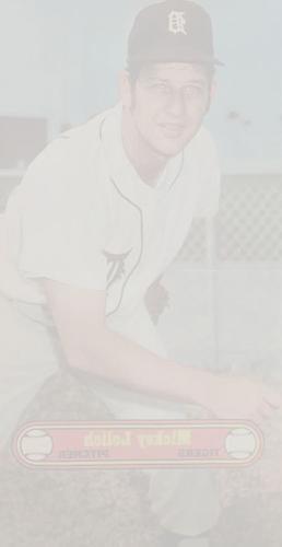 Mickey Lolich back
