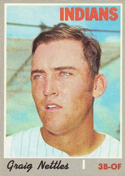 Graig Nettles #491