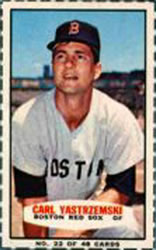 Carl Yastrzemski #22