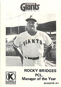 Rocky Bridges #1