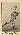 Gavvy Cravath #35