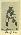 John Lavan #95