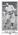 Honus Wagner #184