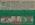 Dick Groat back