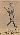 Wally Pipp #122