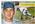 Harmon Killebrew #164b